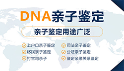 玉林孕期亲子鉴定的流程，玉林孕期亲子鉴定费用