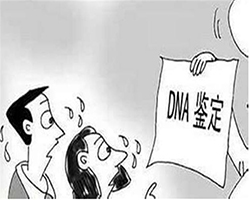 玉林亲子鉴定中心地址及电话，玉林亲子鉴定中心基本流程