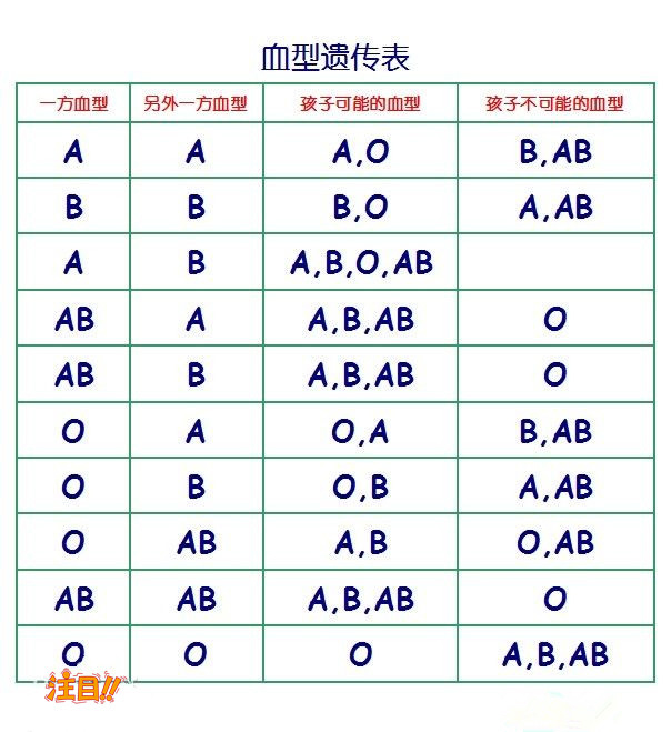 玉林亲子鉴定准不准确,